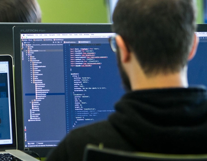 Developer