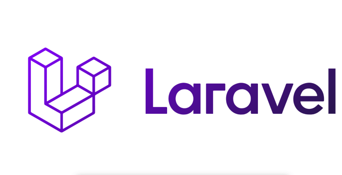 Laravel logo purple Codana